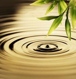 Water drop ripples